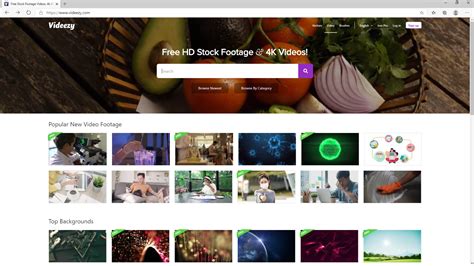 viddizy.com|Videezy .